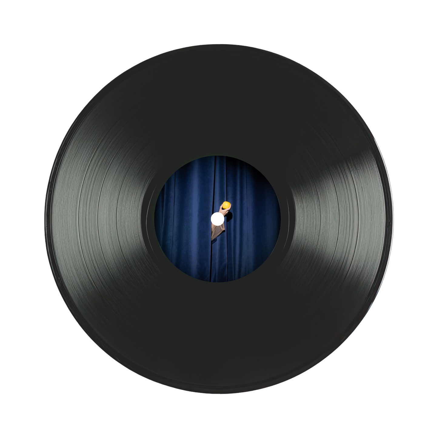IN THE GARDEN VINYL